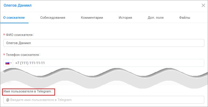 Имя пользователя в Telegram в карточке соискателя
